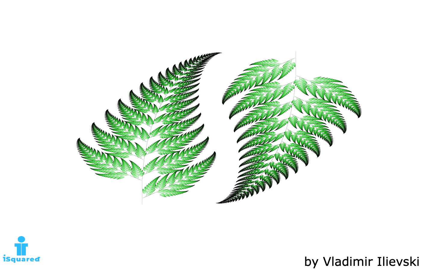 The Barnsley Fern: Ferns Seen as Fractals (not only as plants)