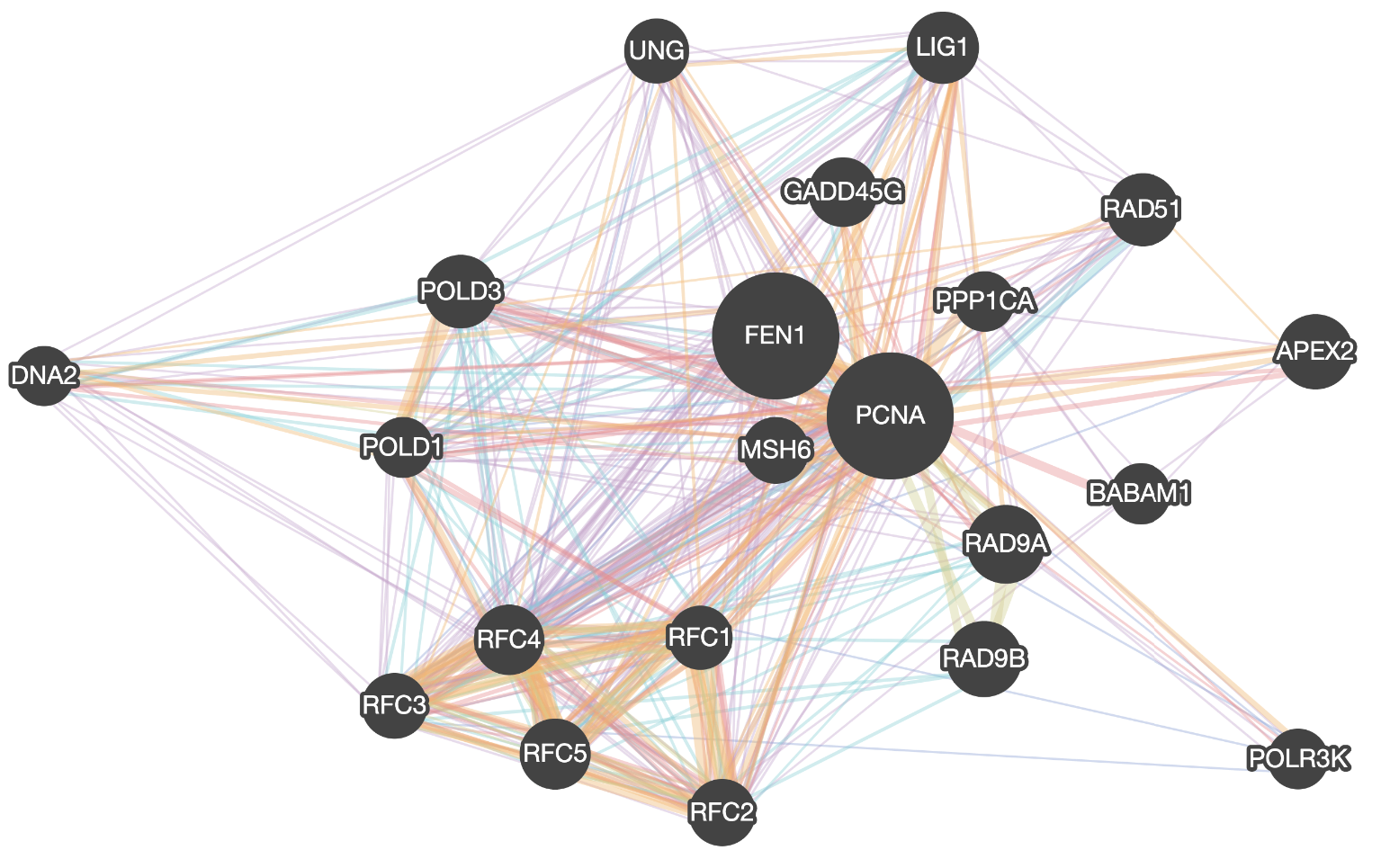 cytoscape directed graph